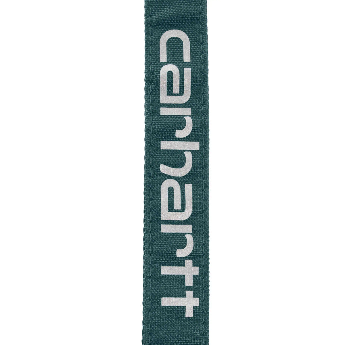 Field Dog Leash