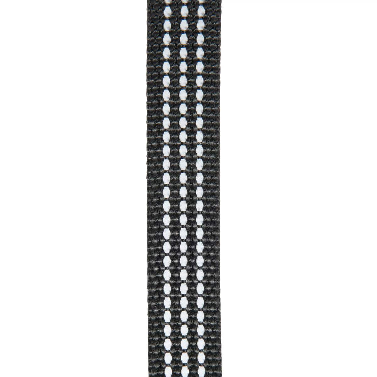 Dog Collar