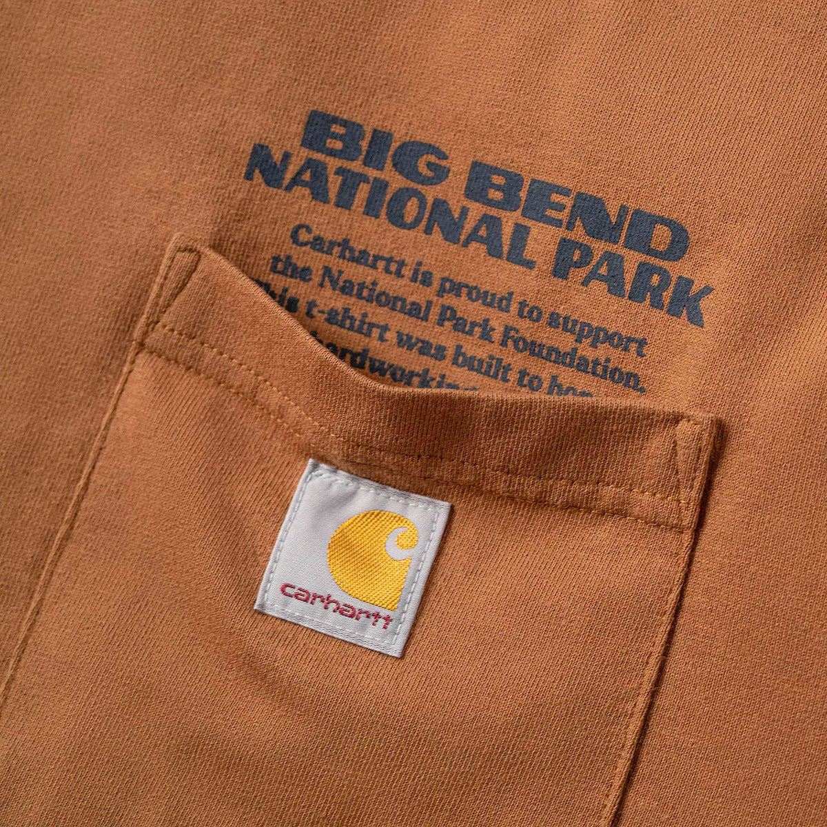 Loose Fit Heavyweight Long-Sleeve Big Bend National Park Graphic T-Shirt