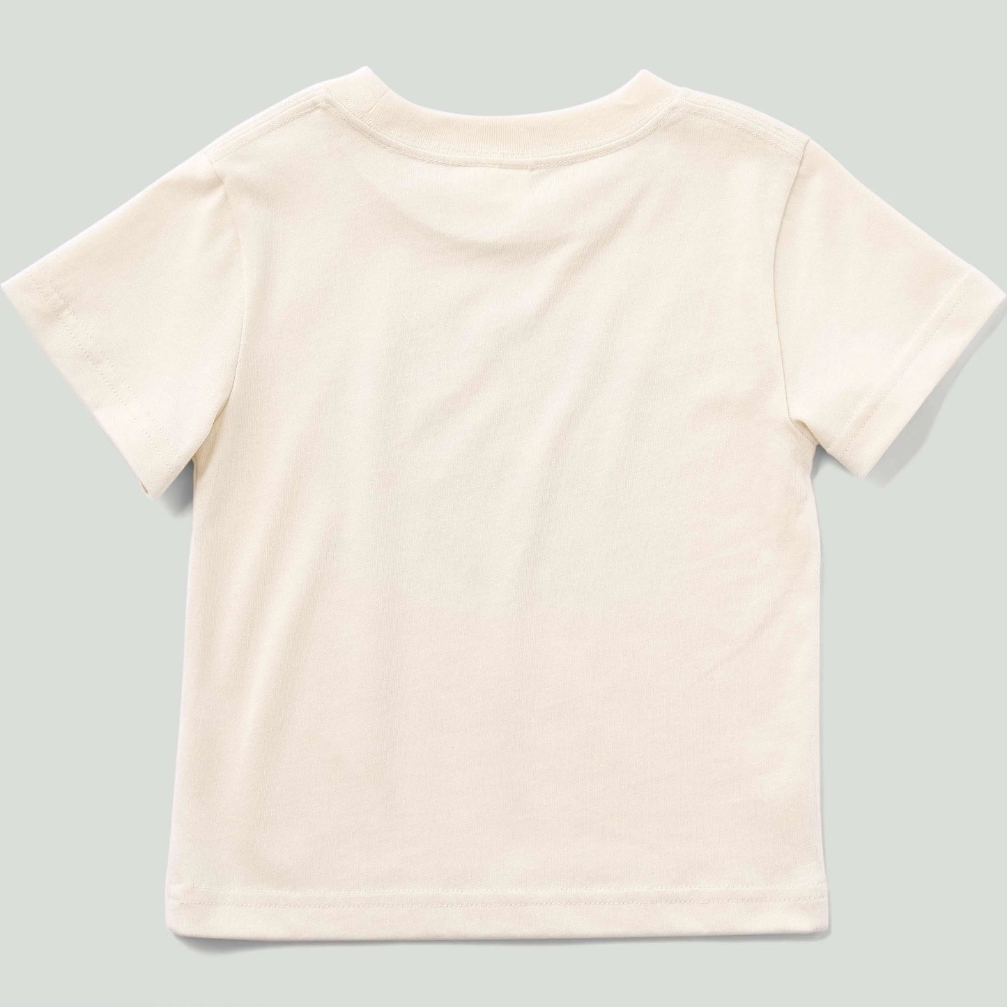 Boys' Short Sleeve Character Tee (Baby/Child/Toddler)