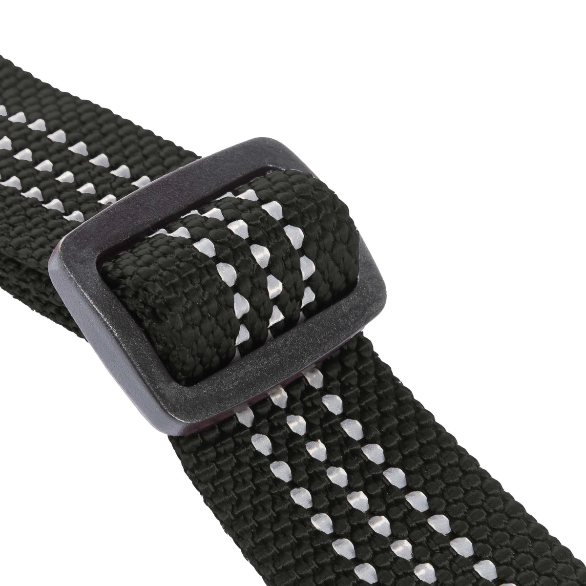 Dog Collar